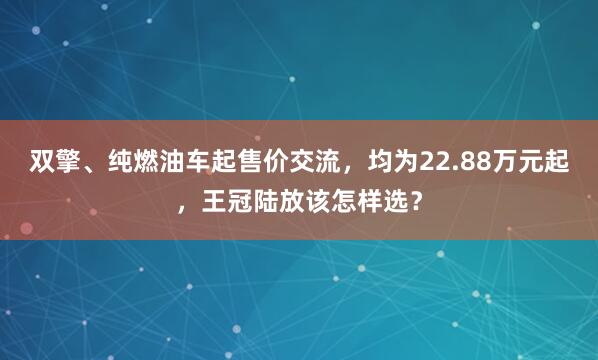 双擎、纯燃油车起售价交流，均为22.88万元起，王冠陆放该怎样选？